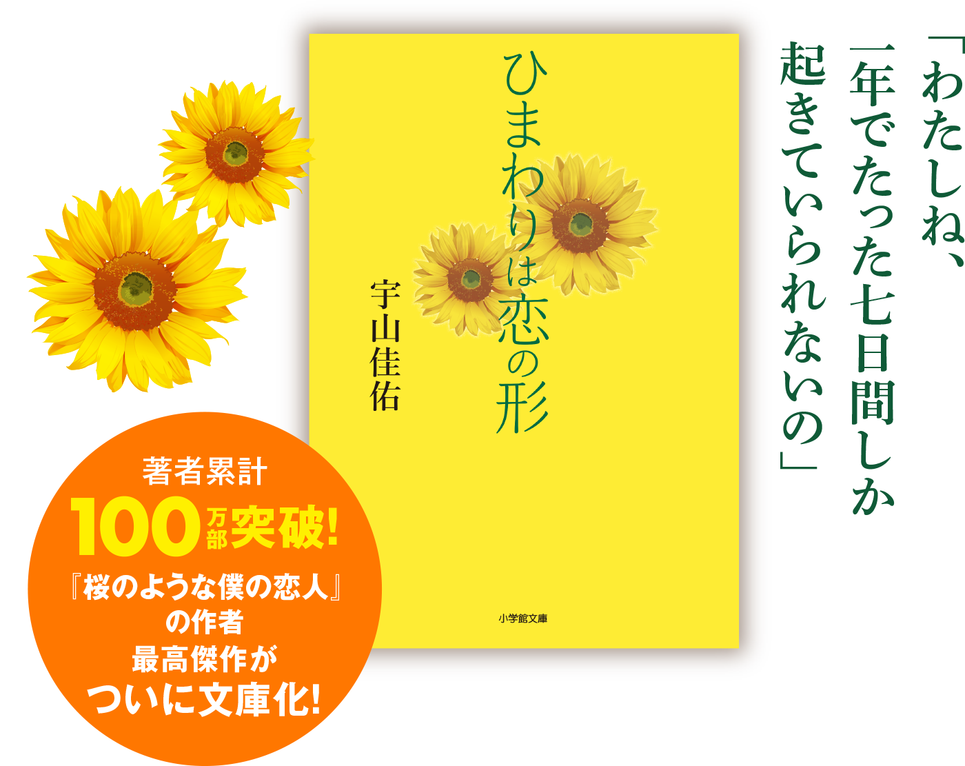 『桜のような僕の恋人』の作者最高傑作がついに文庫化！著者累計100万部突破！