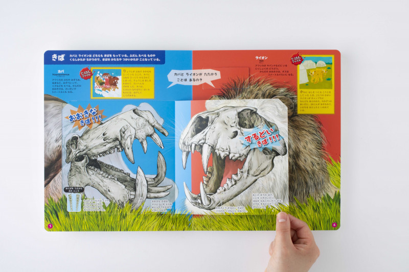 小学館の子ども図鑑プレNEO まどあけずかん　はっけんずかん おすすめ絵本〉小学館の図鑑NEO まどあけずかんで図鑑デビュー