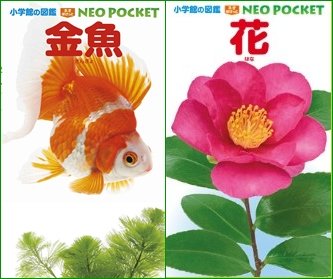 持ち運びに便利な「小学館の図鑑NEO POCKET」に『金魚』と『花』が登場！