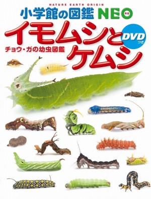 8/16（木）深夜1:03～のTBS「ゴロウ・デラックス」に、イモムシ図鑑編集担当者が出演！