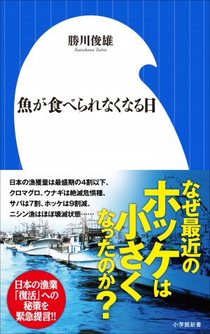 将来、日本で『魚が食べられなくなる日』も近い！？ 日本の漁業が抱える大問題とは？