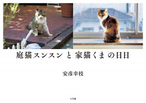 庭猫と家猫の日々をやわらかな視点で写し出した写真集。『庭猫スンスンと家猫くまの日日』