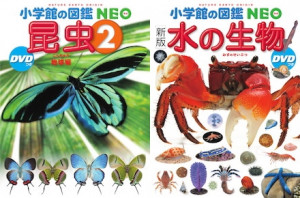 図鑑NEO]に『昆虫2』&『[新版]水の生物』が圧倒的な収録種数で登場