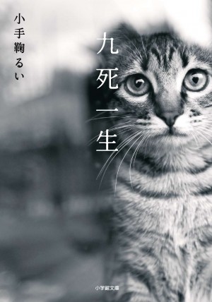 ネコノミクス真っ只中の今、読むべき「猫文学」の傑作！ 『九死一生』