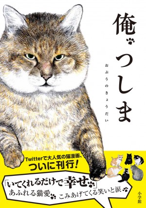 玄田哲章と増山江威子が声の出演！！ 8万部突破のリアル猫マンガ『俺、つしま』テレビCMは必見です！