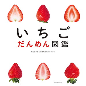 いちごLOVEなあなたのハートをワシづかみ！『いちご だんめん図鑑』