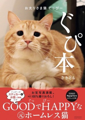 NHK「もふもふモフモフ」でも大紹介！インスタ猫界の大スター、お太りさま猫〝ぐっぴー〟初の写真集！『ぐぴ本』ｆ