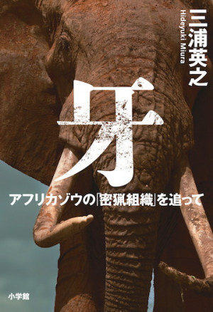 ゾウ虐殺の「真犯人」とは！？象牙密猟組織と日本・中国の関係『牙 アフリカゾウの「密猟組織」を追って』