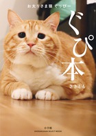 よい子の味方スーパーシッター 3 | 書籍 | 小学館