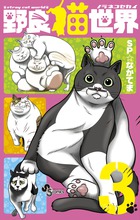 野良猫世界 ３