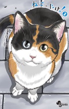 ねこったけ！ ２
