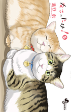 トラとミケ ４ | 書籍 | 小学館