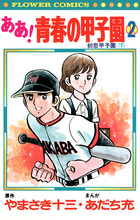 ああ！青春の甲子園 ２
