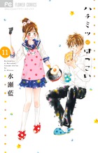 ハチミツにはつこい １１