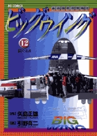 ビッグウイング 12