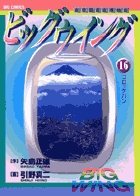ビッグウイング 16