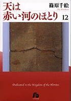 天は赤い河のほとり〔小学館文庫〕 12