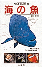 フィールド・ガイドシリーズ13　海の魚