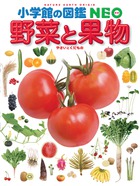 小学館の図鑑　ＮＥＯ　野菜と果物