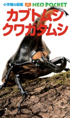 カブトムシ クワガタムシ 書籍 小学館