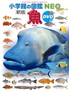 DVDがついて新しくなった最新版！『小学館の図鑑NEO〔新版〕 魚 DVDつき』