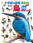 鳥の特徴がようわかる美しいイラスト図鑑！小学館の図鑑ＮＥＯ『鳥　恐竜の子孫たち』ＤＶＤつき