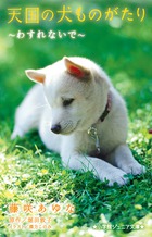 天国の犬ものがたり～わすれないで～