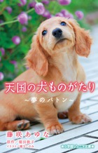 感動の涙がとまらない、犬と人の絆。小学館ジュニア文庫『天国の犬ものがたり～夢のバトン～』