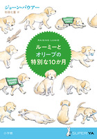 ルーミーとオリーブの特別な１０か月