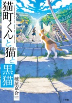 薬屋のひとりごと～猫猫の後宮謎解き手帳～ 19 | 書籍 | 小学館