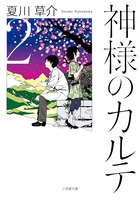 内科病棟に一止の旧友・進藤辰也が東京の病院から新任の医師としてやってくる。しかし、彼の医師としての行動は周囲を困惑させるものだった。そして、さらに大きな試練が一止たちを待ち受けていた――。