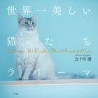 世界一美しい猫たち　ラパーマ