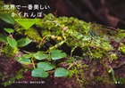 世界で一番美しいかくれんぼ　Ｈｉｄｄｅｎ　ｉｎ　Ｎａｔｕｒｅ