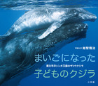 まいごになった子どものクジラ