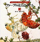 ファーブル昆虫記の虫たち 3