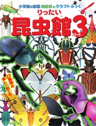 りったい　昆虫館　パート３