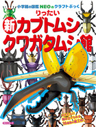 新りったいカブトムシ・クワガタムシ館