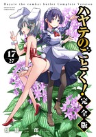 ハヤテのごとく！　完全版 １７
