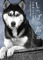 しっぽの声 １０