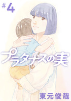 プラタナスの実 ４