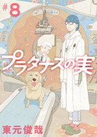 プラタナスの実 ８