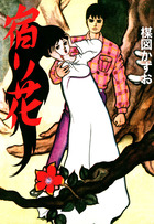 完全復刻版　宿り花