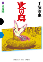 火の鳥 書籍 小学館