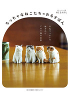 ちっちゃなねこたちのおるすばん