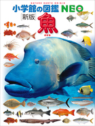 小学館の図鑑NEO〔新版〕魚 | 電子書籍 | 小学館