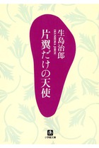 片翼だけの天使（小学館文庫）