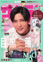 少年サンデー　１１号