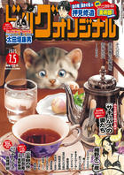 ビッグオリジナル