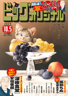ビッグ　オリジナル　１９号