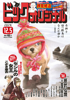 ビッグ　オリジナル　２３号